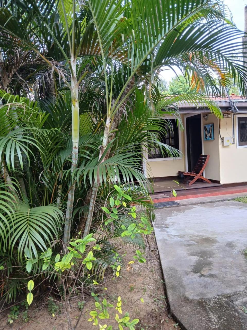 Fuchs Villas Negombo Esterno foto